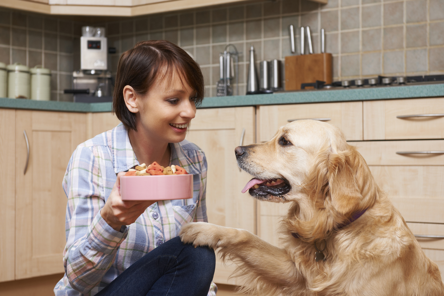 Human Foods that are Safe for Dogs